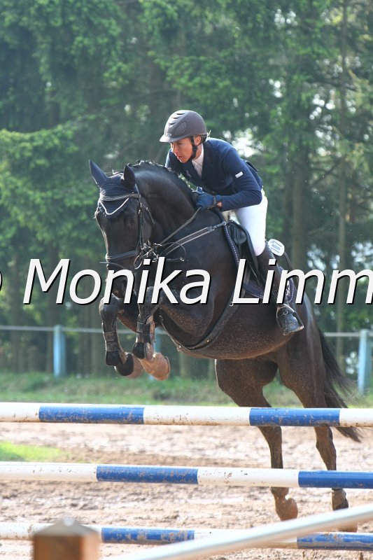 103M2951_Fantastik Touch_Spring A.JPG